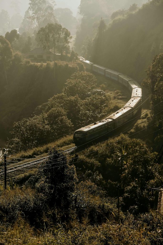 The train to Ella winds through the mountains in fading afternoon sunlight.