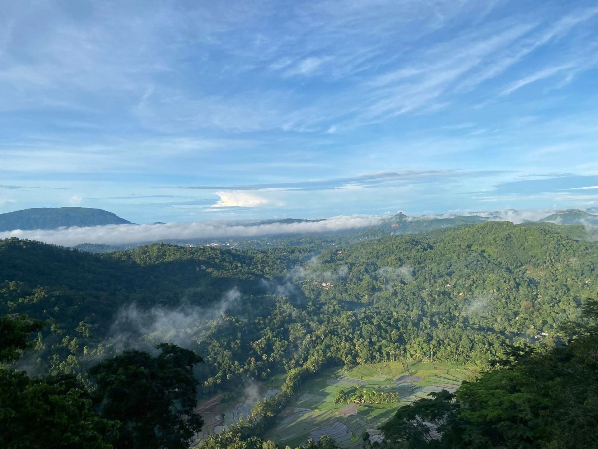 A view of the mountainous countryside near Kandy, from up high with green paddy fields about 800ft below.