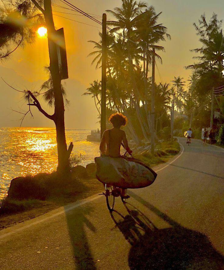 A surfer carries his board strung across his shoulder while pedalling a bike to the beach